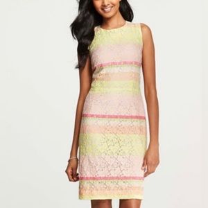 Ann Taylor Sorbet Horizon Striped Lace Sheath Dress Pink Yellow Peach